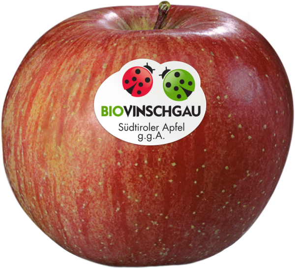 Fuji Apfelkiste Bio - 2kg - Bio Äpfel aus dem Vinschgau - VI.P 