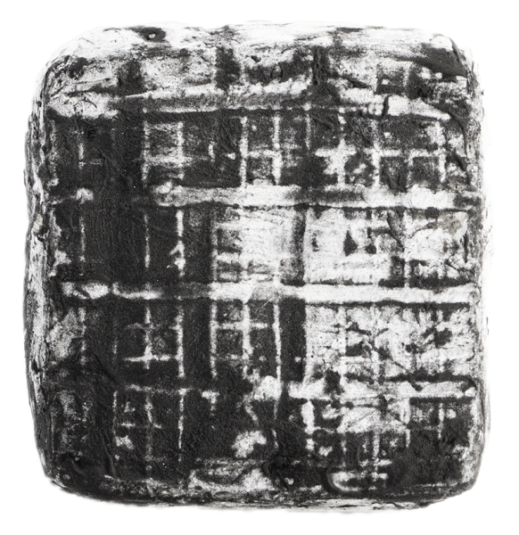 Formaggio caprino "Carbonito" a pasta molle - 0.2kg - Capriz Feinkäserei